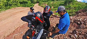 Amigos del camino